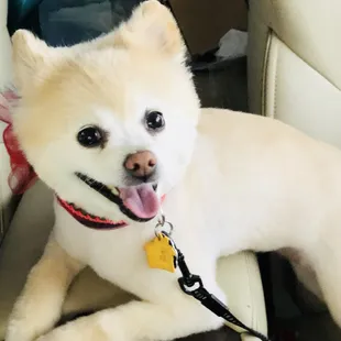 Lulu is a happy gurl!