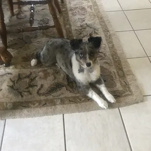 Before and After a trim