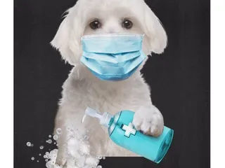 Horizon Animal Hospital