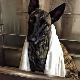Demi&apos;s spa day!!
