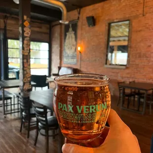 a person holding a glass of beer