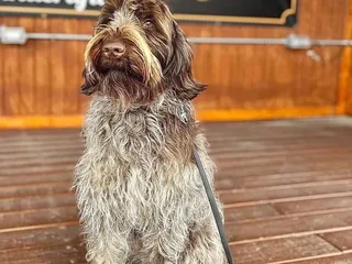 Grand Junction Brewing Company