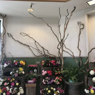 a display of flowers and branches