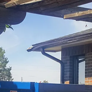 Damage to our house gutter that was brand new.  Caused from Payless Rolloff picking up their container, will NOT take responsibility for.