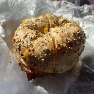 Everything Bagel Toasted