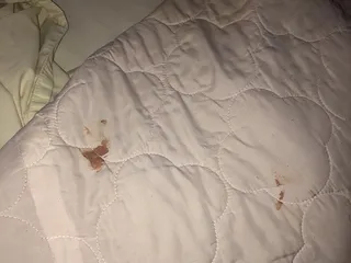 Asteria Inn & Suites St. Cloud