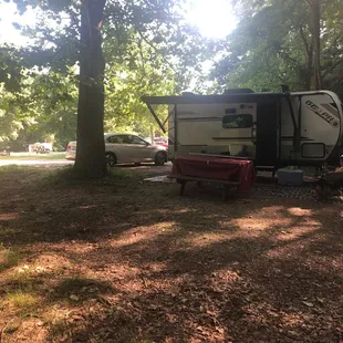 Site #60 - full shade