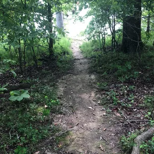 Trail to lake