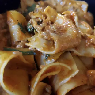 pappardelle bolognese entrée