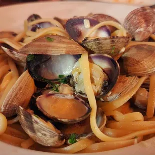 Linguine alle Vongole  ($25)-11/23