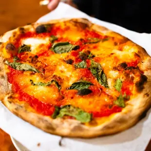 Pazzo