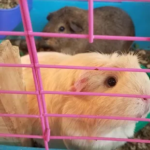 Just some of the friendly faces at PB&amp;J.