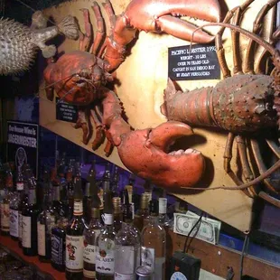 Yes they are real lobsters.