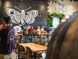 Nocterra Brewing Co. - Audubon