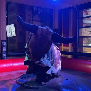 The bull
