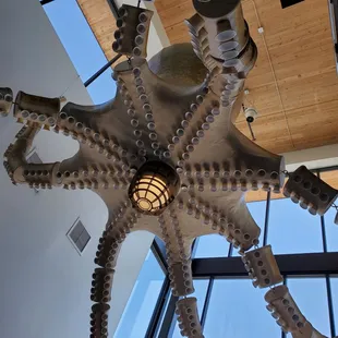 Octopus lighting at entrance