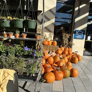 Pumpkins and flowers