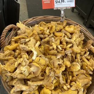 Fresh Mushrooms