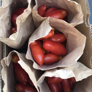 20lbs SAN MARZANO TOMATOES for making sauce &amp; canning!!!!!!!!