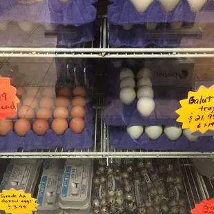 Variety of eggs; quail, duck, Balut, brown eggs, and white.