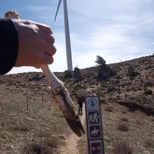 Animal bones, PCT sign, wind turbines, and my cousin