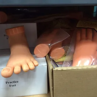 They have hard and rubber hands/feet.