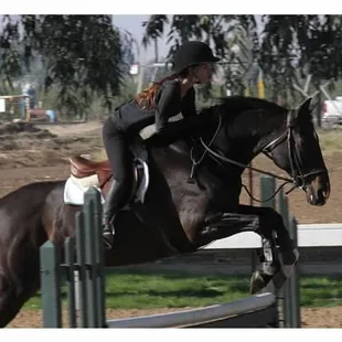 Final Exam and Melani Thrasher