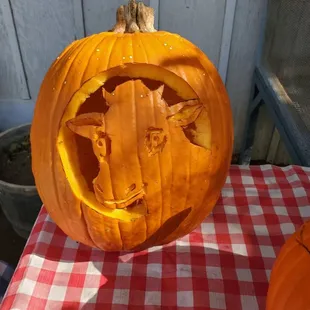 Halloween Funday pumpkin carving contestant