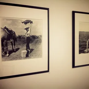 Bunny Yeagar Exhibit