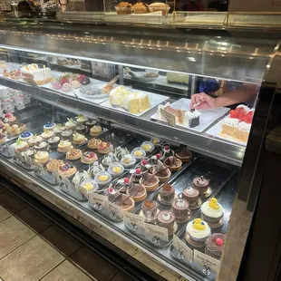 Dessert case