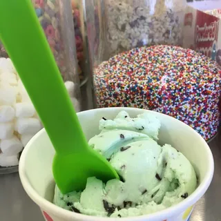 Mint Chocolate Chip