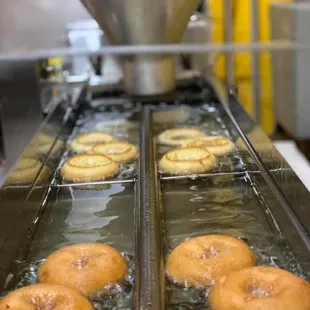 donuts being made at a factory