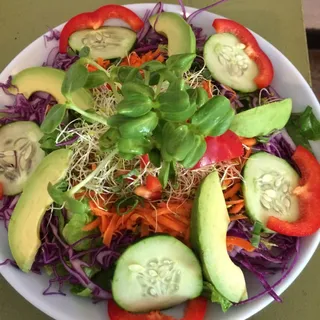 Rainbow Garden Salad