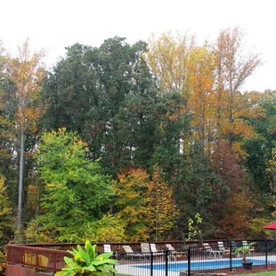 view from the bed and breakfast of the beautiful fall colors