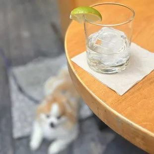 Fortaleza, Still Strength | $17