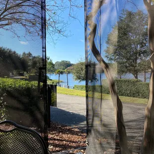 My view from the patio
