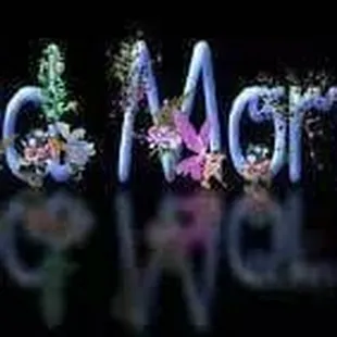 It's Sunday. One day closer to Moms Birthday.