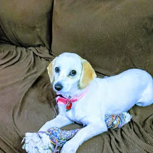 After her haircut with her bandana.