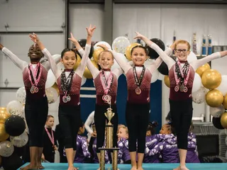 Precizion 509 Gymnastics
