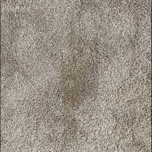 Pet stain from previous tenant