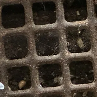 HVAC vent (Cat feces, hair and urine)