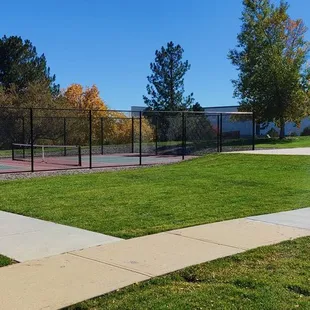 Tennis and basketball