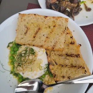 Burrata