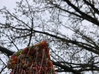 Wythe Candy & Gourmet Shop