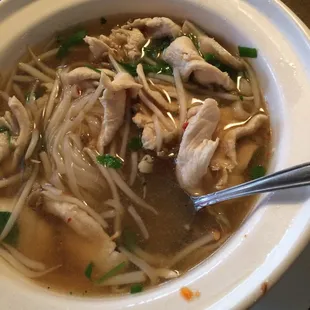 chicken noodle soup