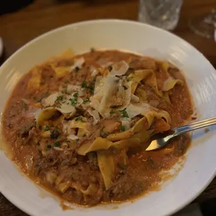 Bolognese