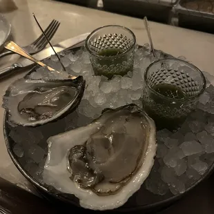 Oyster Shooters