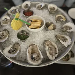 Oysters on the half shell