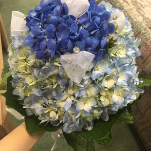 My wedding bouquet! Blue hygrandrea