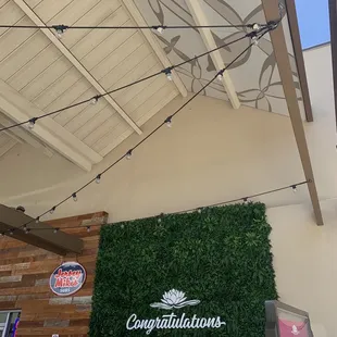 Picture taking backdrop